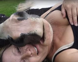 Woman lays down in a field, but watch how her lovable horse reacts