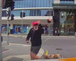 Angry Pedestrian Gets Dose Of Instant Karma