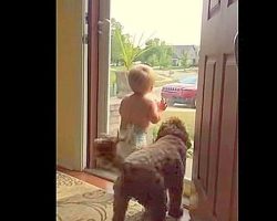Dad Pulls Up Into The Driveway. Now Watch How The Baby And Dog React!
