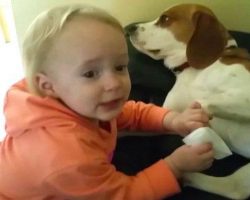 This Little Girl And Her Dog Are Best Friends. What They Do Together Will Melt Your Heart