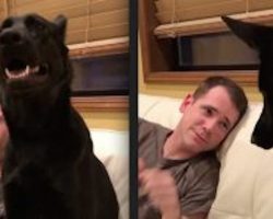 Dad ‘Boops’ His Dog’s Nose But Is Taken By Surprise By What His Dog Does Back
