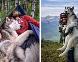 Man Takes His Wolfdog On Epic Adventures Across America’s Most Gorgeous Locations