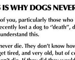 We were wrong all along — dogs never really die