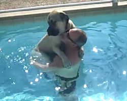 Big dog’s afraid of the water, but daddy lends a helping hand for Sampson