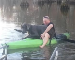Big Great Dane Goes On Kayak Ride With Dad