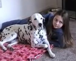 Dalmatian Has The Best Response When Asked To Pose For Family Photo