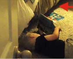 Parents Walk In On Their Toddler Reading A Bedtime Story To Their Dog