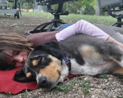 5 Signs That Your Dog Actually Loves You