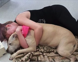 Dog owner captures last moments with her dying baby. These 10 pictures show what love really is.