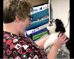 Funny pup throws the biggest hissy fit, and it has the groomer in stitches
