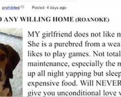 Man Posts Incredible Craigslist Ad After His Girlfriend Asks Him To Get Rid Of His Dog