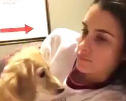 Woman Opens Her Mouth To Say Something, But Her Dog Stops Her In Hilarious Way