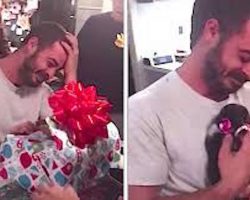 Depressed Marine Veteran Overcome With Emotion When He Gets Christmas Puppy Surprise