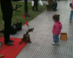 Young Girl Captivated By Amazing Puppeteer And His Dog