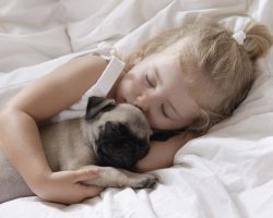 7 Surprising Reasons Your Dog Should Sleep On Your Bed Every Night