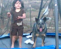 3-Year-Old Vanishes From Home. 15 Hours Later, They See A Dog Crouched Over Her In The Woods
