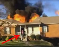 Man Runs Into Stranger’s Burning Home To Rescue 85-Pound Dog