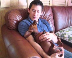 Mom Catches Son Singing Sweet Lullaby With Adorable Dachshund