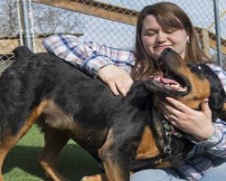 Stolen Rottweiler Joyfully Reunites With Her Family After 5 Years
