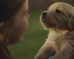 Story of a Lifelong Friendship Between a Girl and Her Dog Is Heartmelting
