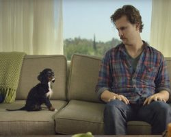 Adorably Baffled Man Bonds With His New Puppy