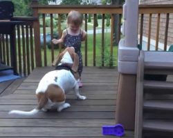 Rescued Dog Dances With Toddler And Makes Mom Laugh Every Day