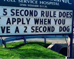 These 13 signs prove that vets have a great sense of humor