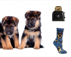 20 Items All German Shepherd Lovers NEED To Have