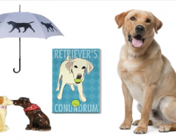 20 Items That All Labrador Retriever Lovers Need To Have