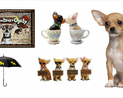 20 Items That All Chihuahua Lovers Need To Have