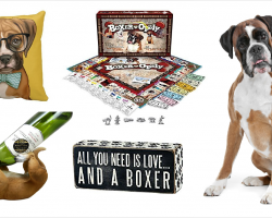 20 Items That All Boxer Lovers Need To Have