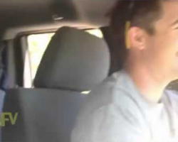 Dog Has Hilarious Reaction When Told He Is Going To The Park