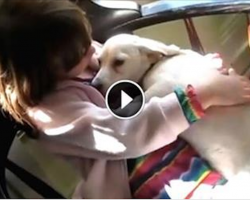 Dog’s Emotional Reaction After Being Saved From Euthanasia Is Beautiful To Watch