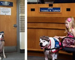Little girl testifies against her abuser. When he walks in, she gives her deaf dog a signal