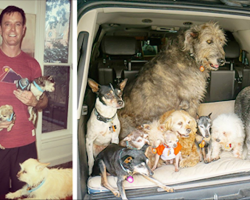 Man Devotes His Life To Adopting Old Dogs Who Can’t Find Forever Homes