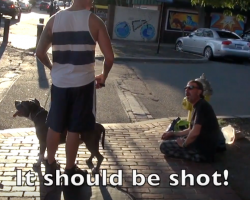 Man’s aggressive dog breed social experiment catches people’s true feelings on camera