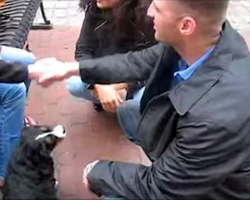 Wife Surprises Soldier Husband With The Homecoming Puppy Of His Dreams