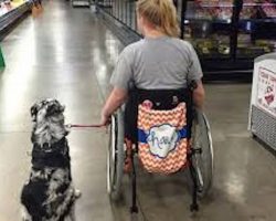 Teen with epilepsy warns of serious consequences when strangers pet service dogs without permission