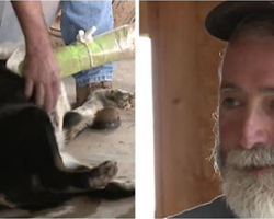 Farmer Watches As His 12-Year-Old Dog Is Tossed Around By A Tornado, But Then He Finds Him Alive