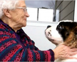 92-Year-Old Widow Finds Joy And Companionship In Neighbor’s Puppy After Living Alone For 27 Years