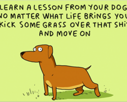 10 Illustrations Every Dog Owner Will Understand