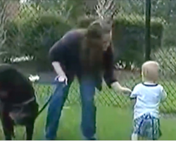 The Babysitter Abuses The Baby, But What The Dog Does Is Unbelievably Amazing