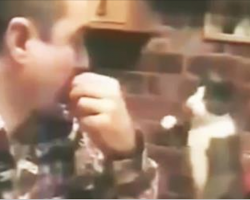 Cat Uses The Sign Language To Communicate With His Hearing Loss And Mute Owner