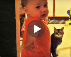 Dad captures the morning routine between his daughter and cat—and it’s too adorable