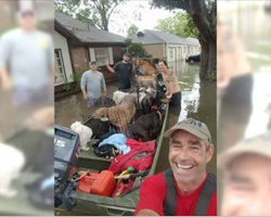 Rescuer Tells Woman ‘We Are Taking All Of You,’ Squeezes 21 Helpless Dogs Onto Tiny Boat