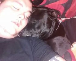 He Decides To Take His Own Life, Then Realizes What’s Inside His Dog’s Mouth…