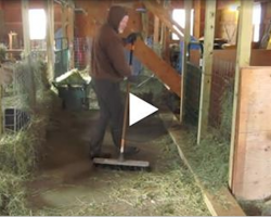 50-year-old farmer stands alone and sweeps barn – now watch when his favorite song comes on