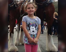 Dad snaps photo of little girl posing with horse, takes a closer look and bursts out laughing