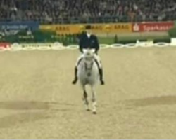 Horse and rider start “dance” routine, bring house down when the music changes 2:30 minutes in