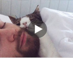 Man adopts unwanted shelter cat, and their bedtime routine is heart-melting